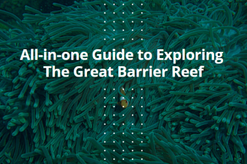 All-in-one Guide to Exploring The Great Barrier Reef