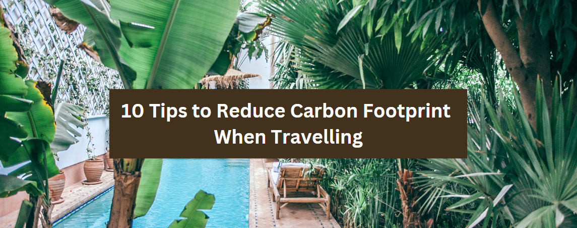 10 Tips to Reduce Carbon Footprint When Travelling