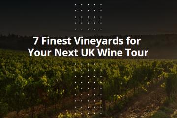 7 Finest Vineyards for Your Next UK Wine Tour