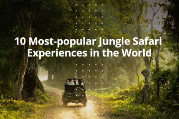 10 Most-popular Jungle Safari Experiences in the World