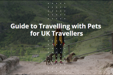 Guide to Travelling with Pets for UK Travellers