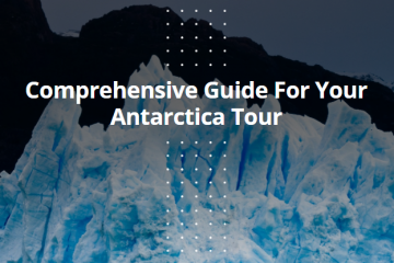Comprehensive Guide For Your Antarctica Tour